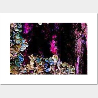 Magnificent tree lichen Posters and Art